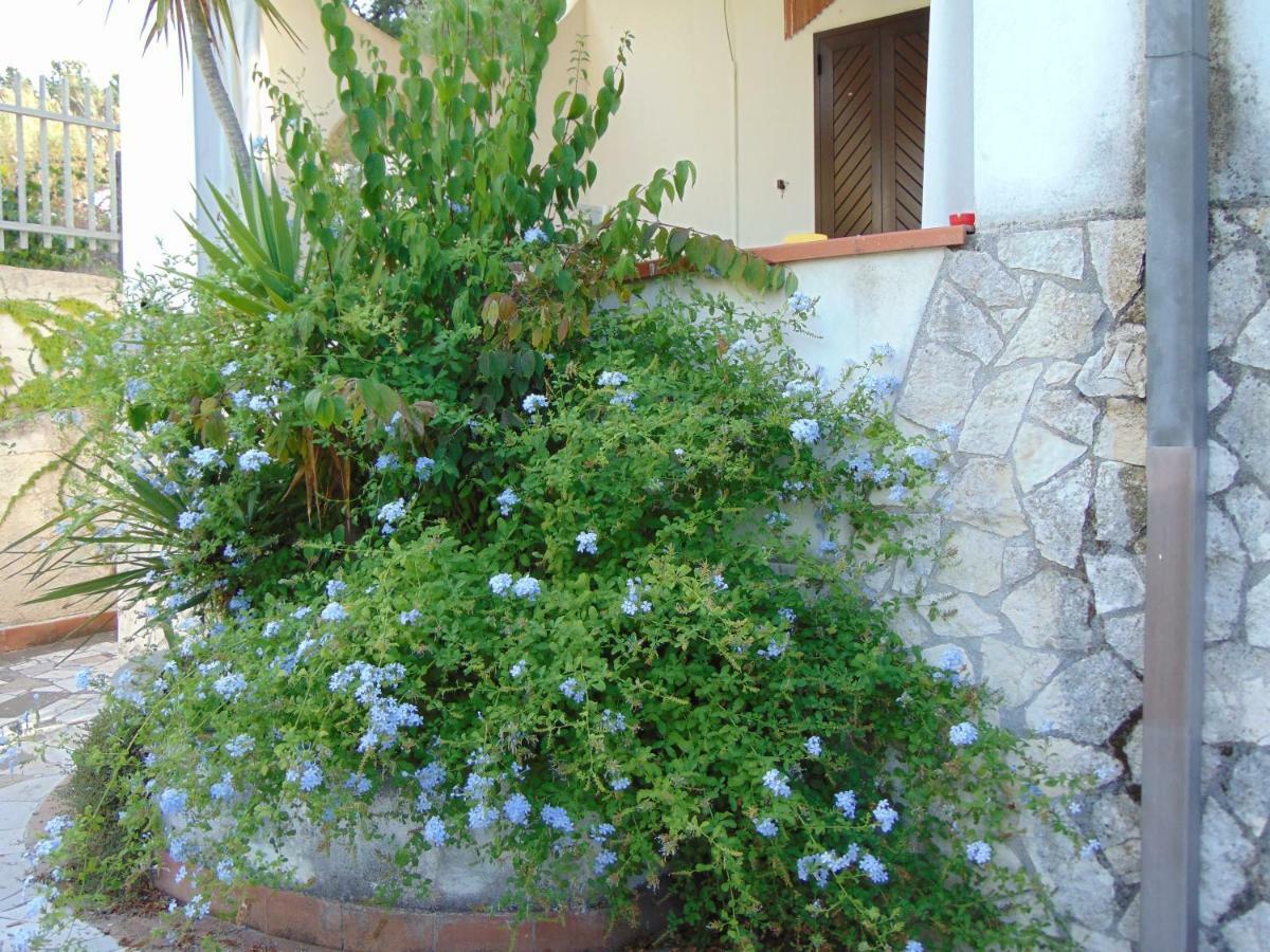 Villa Antonio Calderisi Vieste Exterior foto